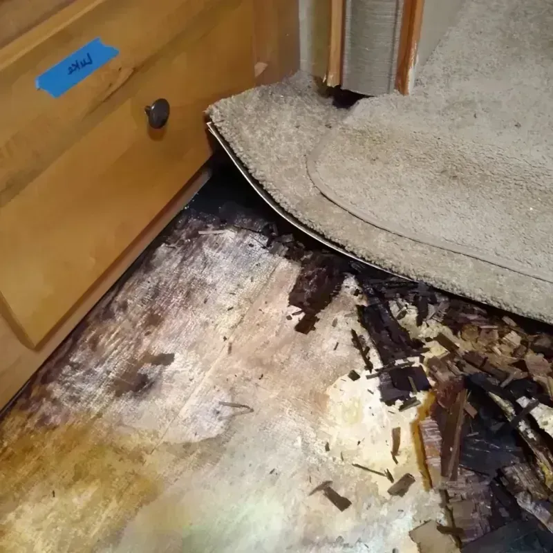 Wood Floor Water Damage in Winchester, MO